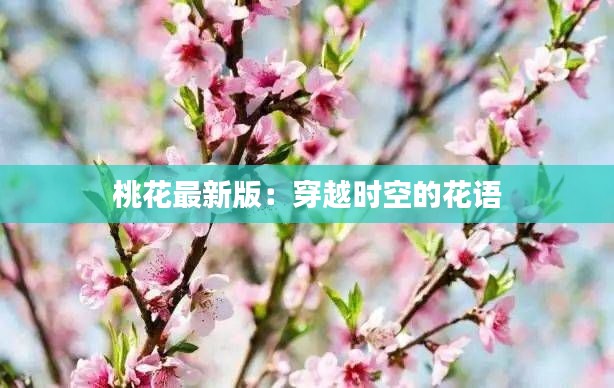 桃花最新版:穿越时空的花语