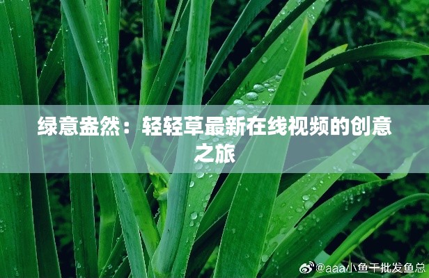 绿意盎然:轻轻草最新在线视频的创意之旅