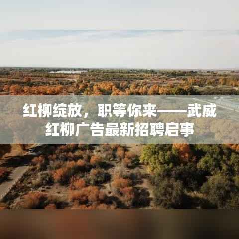红柳绽放,职等你来——武威红柳广告最新招聘启事