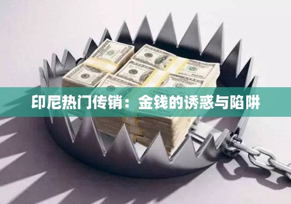 印尼热门传销:金钱的诱惑与陷阱