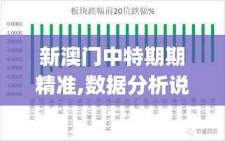 新澳门中特期期精准,数据分析说明_复古款53.175
