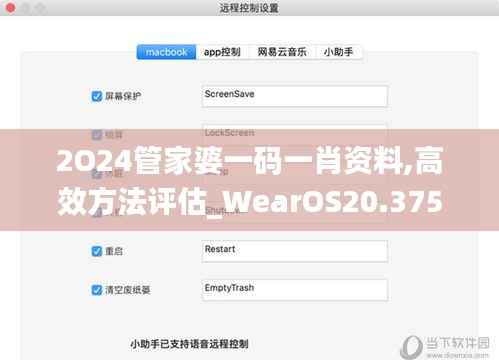 2O24管家婆一码一肖资料,高效方法评估_WearOS20.375