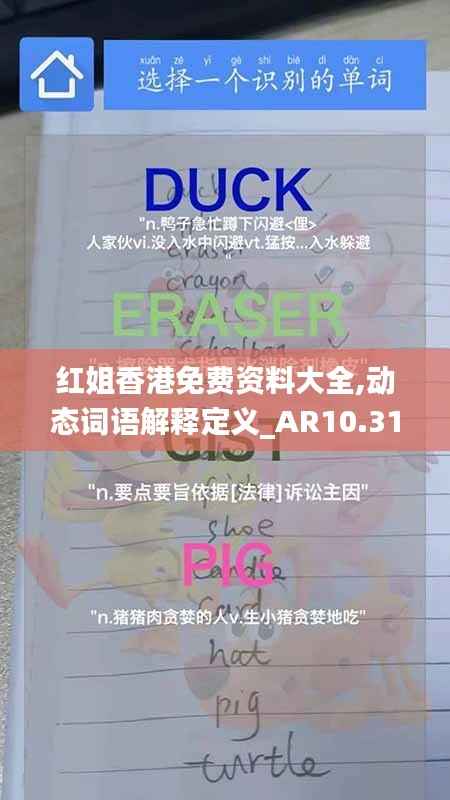 红姐香港免费资料大全,动态词语解释定义_AR10.317