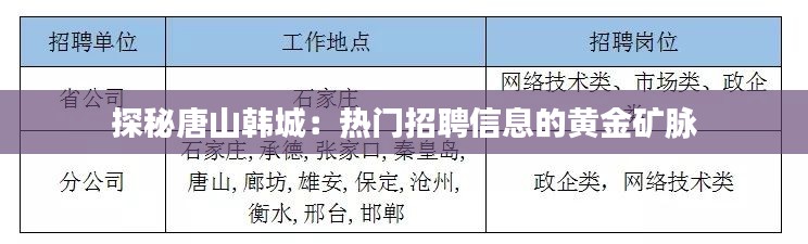 合作流程 第273页