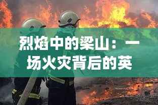 合作流程 第272页