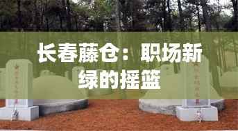 长春藤仓:职场新绿的摇篮