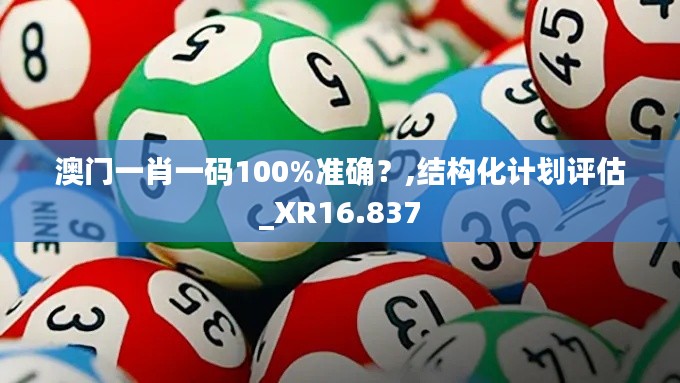 澳门一肖一码100%准确？,结构化计划评估_XR16.837