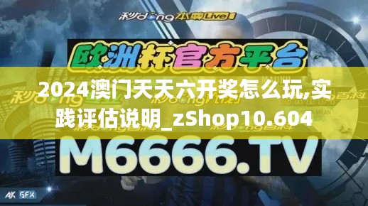 2024澳门天天六开奖怎么玩,实践评估说明_zShop10.604