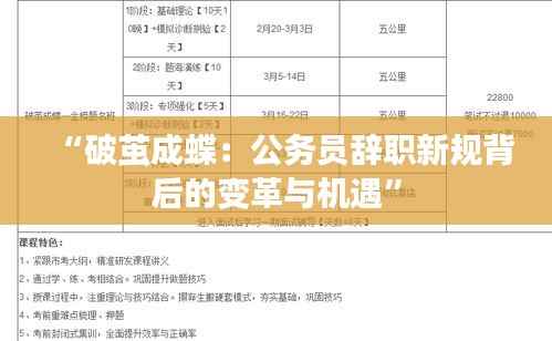 “破茧成蝶:公务员辞职新规背后的变革与机遇”