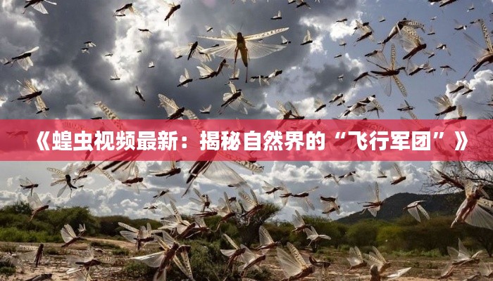 《蝗虫视频最新:揭秘自然界的“飞行军团”》