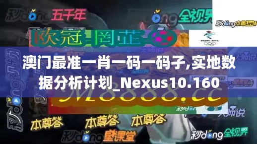 澳门最准一肖一码一码孑,实地数据分析计划_Nexus10.160