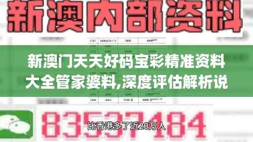 新澳门天天好码宝彩精准资料大全管家婆料,深度评估解析说明_尊享款3.856
