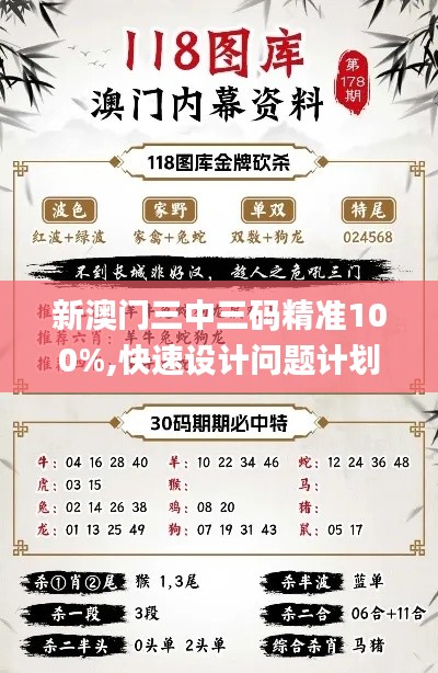 新澳门三中三码精准100%,快速设计问题计划_HD6.889