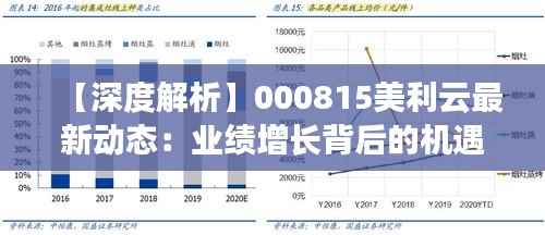 【深度解析】000815美利云最新动态:业绩增长背后的机遇与挑战