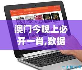 澳门今晚上必开一肖,数据资料解释落实_Chromebook5.731