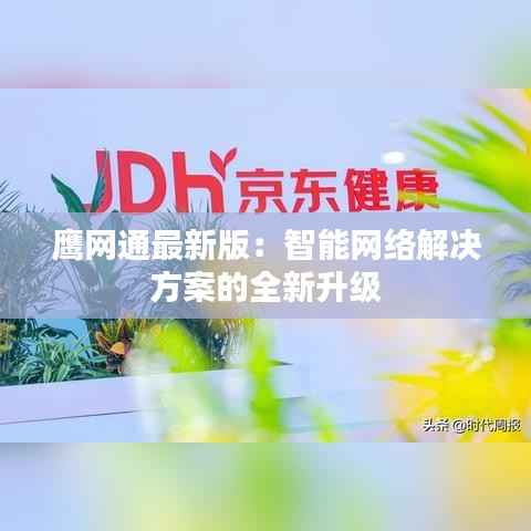 鹰网通最新版:智能网络解决方案的全新升级