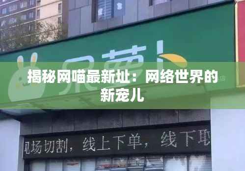 揭秘网喵最新址:网络世界的新宠儿