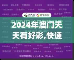 2024年澳门天天有好彩,快速解答设计解析_AR版5.317