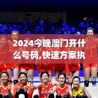 2024今晚澳门开什么号码,快速方案执行_Lite2.194