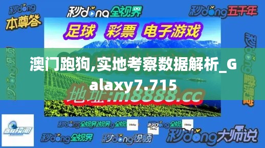 澳门跑狗,实地考察数据解析_Galaxy7.715