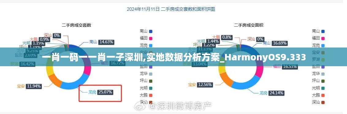 一肖一码一一肖一子深圳,实地数据分析方案_HarmonyOS9.333