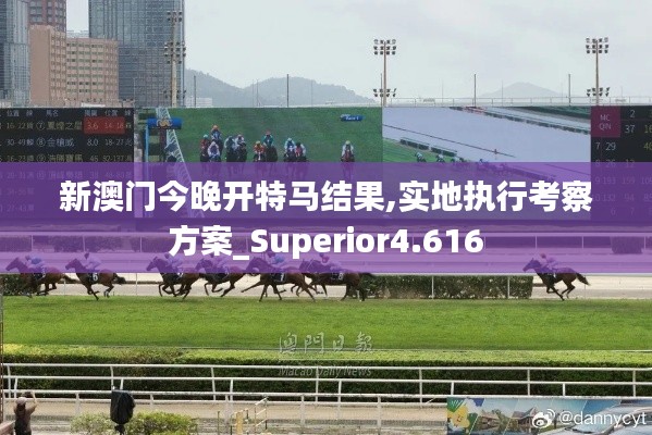 新澳门今晚开特马结果,实地执行考察方案_Superior4.616