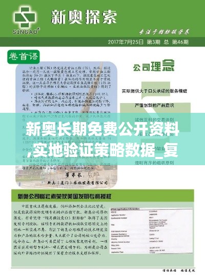 新奥长期免费公开资料,实地验证策略数据_复古款8.640