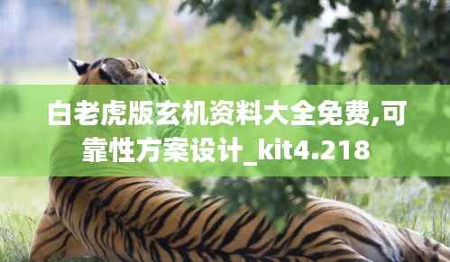 白老虎版玄机资料大全免费,可靠性方案设计_kit4.218