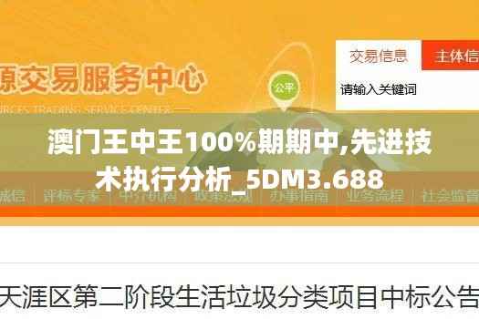 澳门王中王100%期期中,先进技术执行分析_5DM3.688