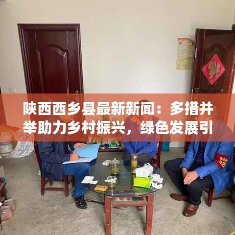 陕西西乡县最新新闻:多措并举助力乡村振兴,绿色发展引领未来