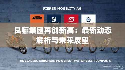 良骊集团再创新高:最新动态解析与未来展望