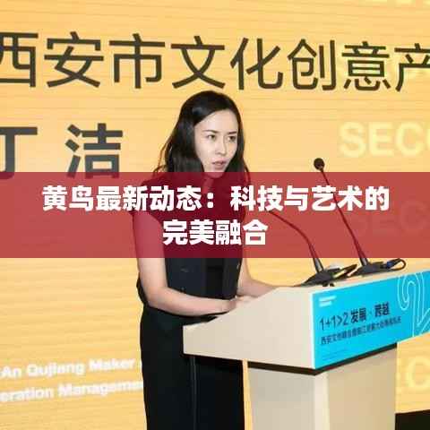 黄鸟最新动态：科技与艺术的完美融合