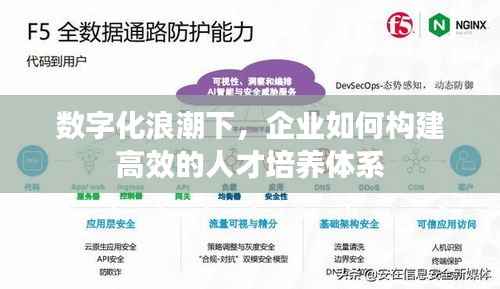 数字化浪潮下,企业如何构建高效的人才培养体系