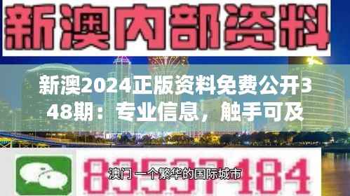 新澳2024正版资料免费公开348期：专业信息，触手可及