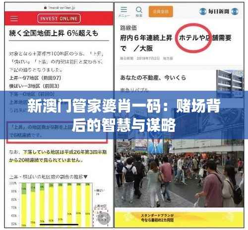 新澳门管家婆肖一码:赌场背后的智慧与谋略
