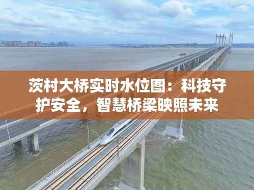 茨村大桥实时水位图:科技守护安全,智慧桥梁映照未来