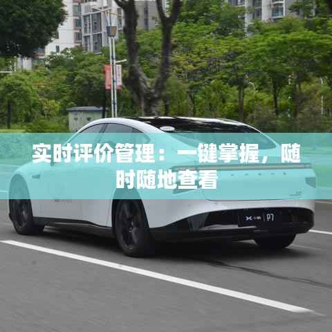 实时评价管理：一键掌握，随时随地查看