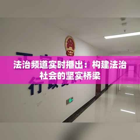 法治频道实时播出:构建法治社会的坚实桥梁