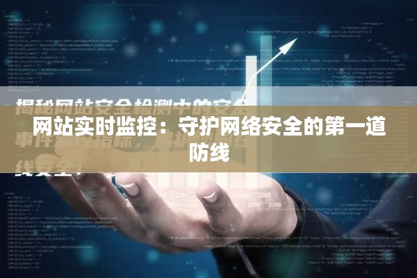 网站实时监控:守护网络安全的第一道防线