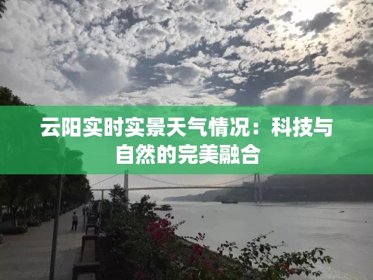 合作流程 第172页