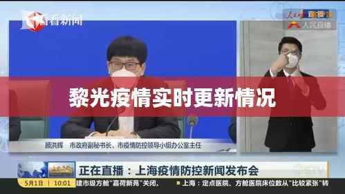 黎光疫情实时更新情况