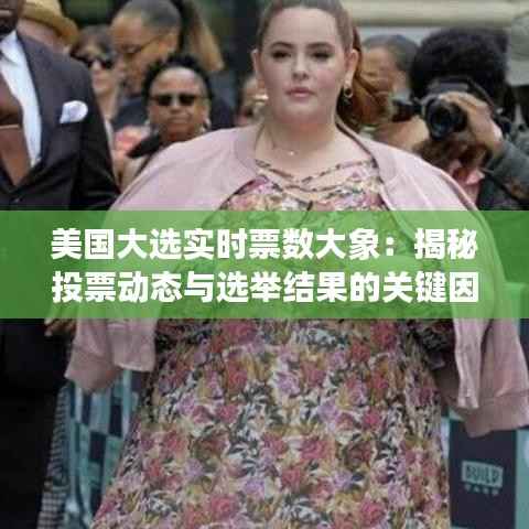 美国大选实时票数大象：揭秘投票动态与选举结果的关键因素