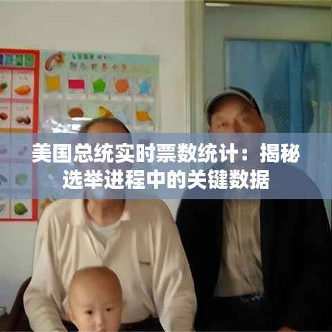 美国总统实时票数统计：揭秘选举进程中的关键数据