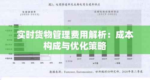 实时货物管理费用解析:成本构成与优化策略