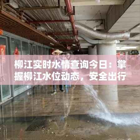 柳江实时水情查询今日:掌握柳江水位动态,安全出行无忧