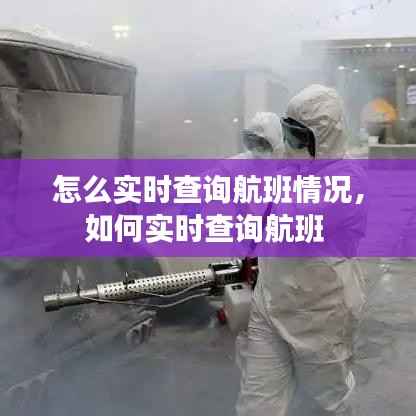 怎么实时查询航班情况，如何实时查询航班 