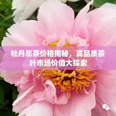 牡丹蕊茶价格揭秘,高品质茶叶市场价值大探索