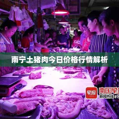 南宁土猪肉今日价格行情解析
