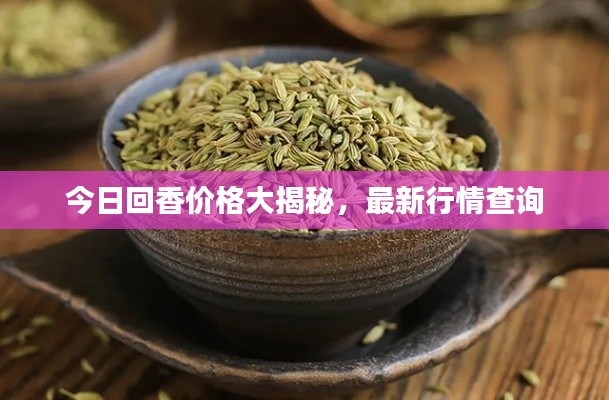 今日回香价格大揭秘,最新行情查询
