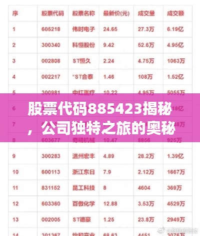 股票代码885423揭秘,公司独特之旅的奥秘探索